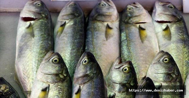 Çinekop diye bir balık türü yoktur!